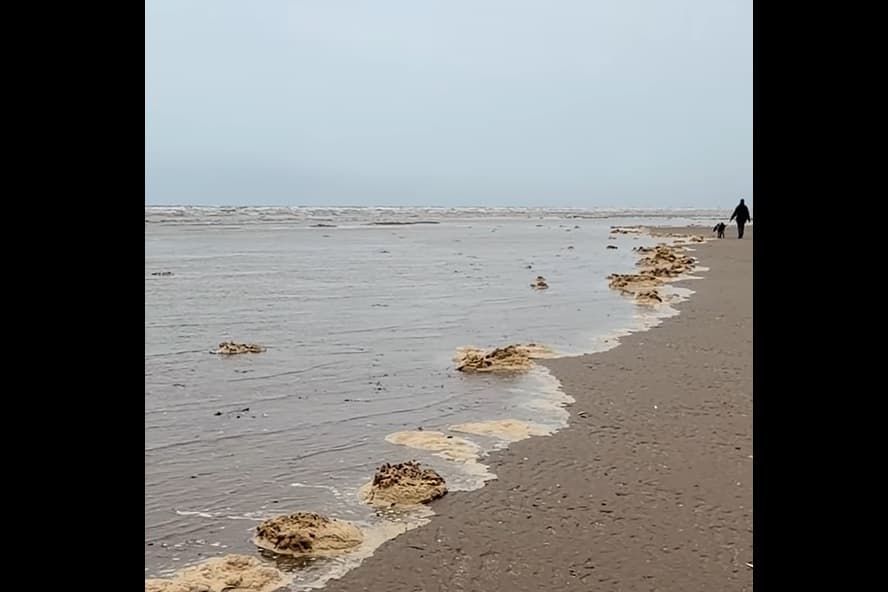 Sewage or seafoam? Concerns raised as 'smelly muck' washes up on beach blackpoolgazette.co.uk/news/environme…
Sewer Cleanup Chicago, Evanston, Skokie, Wilmette, Glenview, Northbrook, Lake Forest, Highland Park
thecleanupguys.com/services/emerg…
#sewercleanupchicago #Evanston #Skokie #Wilmette