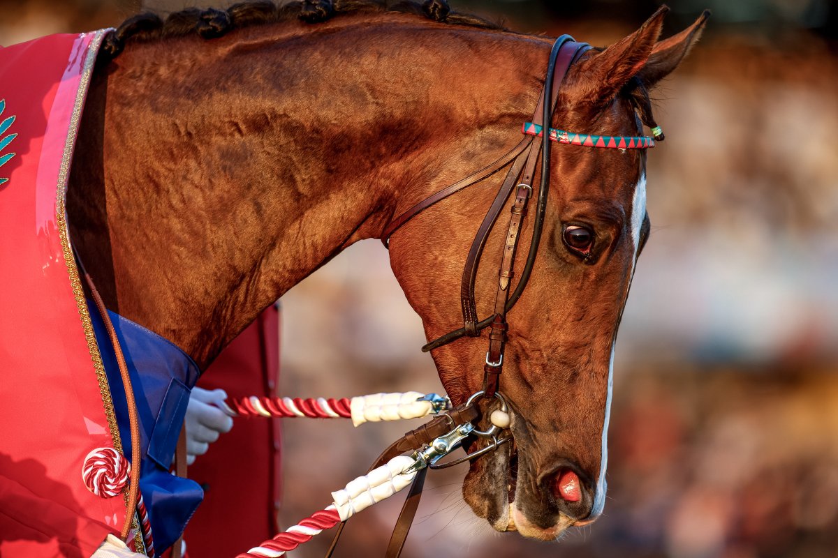 ﾌﾝｷﾞｬﾛ (@fungyaro0323) / Posts / X