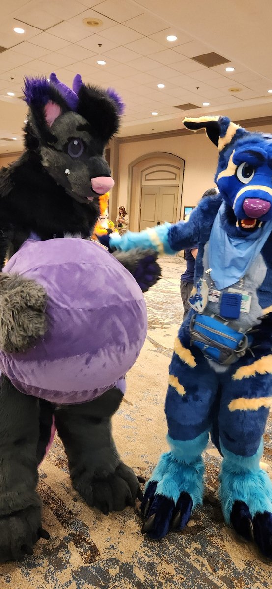 With #MFF25 being so close, here’s how you can find me!

Do:
- Approach in front if in suit 
- Tap shoulder if I don’t notice you
- Hugs and Belly rubs allowed (ask first)
- Get a Photo with
- Invite to chat with

Don’t:
- Pull or grab my suit limbs or parts
- Touch below waist