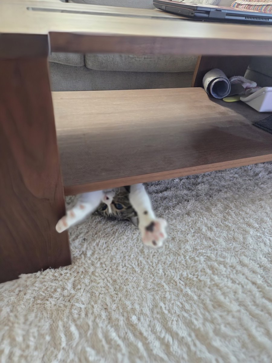 今朝のお見送り。行ってらっしゃーい。