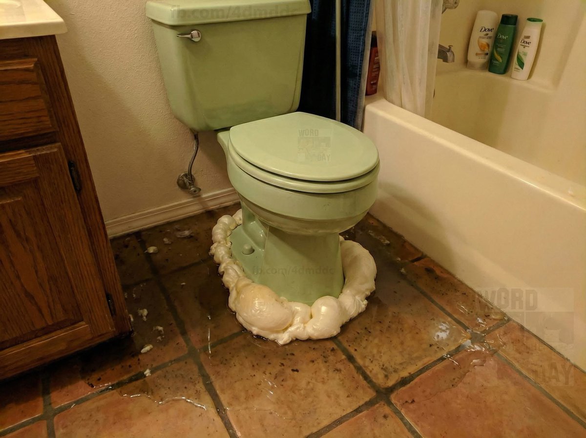 unclegarytrucks's tweet image. this toilet wasnt ready for #Larry after his 6th plate of Thanksgiving cooking 

me &amp;amp; weasel had to make an emergency call to #fix it