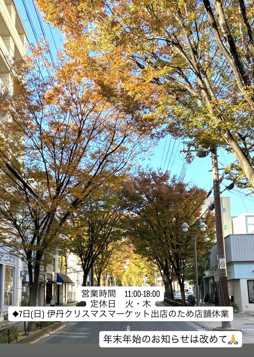 風文庫 tweet media