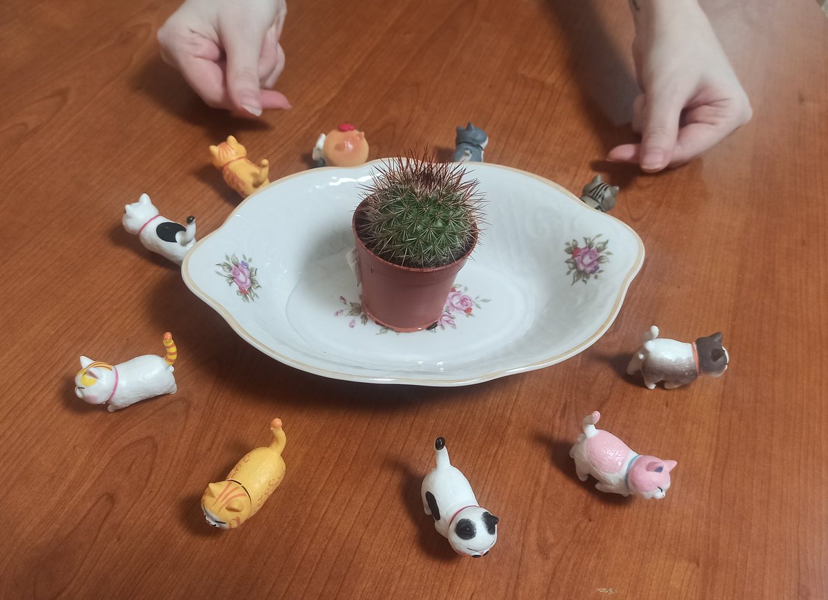 Автентична Каракуля 🇺🇦 (@juhar_ph) on Twitter photo 