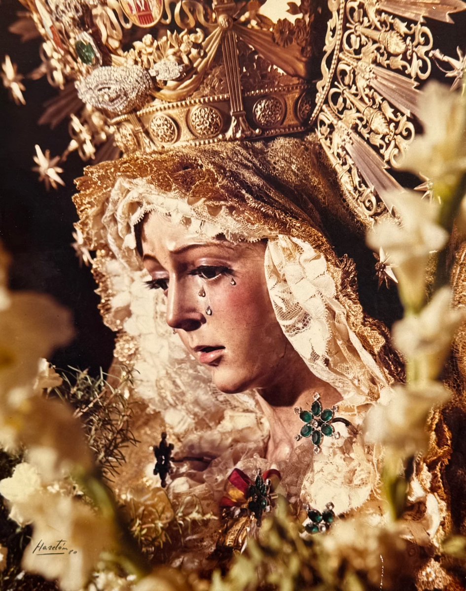 Al fin siempre vence la ESPERANZA. 

¡Viva el Señor de la Sentencia!
¡Viva la Virgen de la Esperanza!
¡Viva la Virgen del Rosario! 

Te estamos esperando, madre mía de la Esperanza.