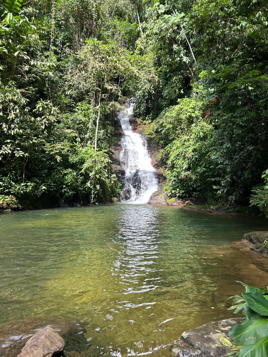 AnatoNacional's tweet photo. 👉 #ANATOenlasRegiones | Hoy concluyó el #ViajedeFamiliarizaciónANATO en el departamento del Caquetá, donde participaron #AgentesdeViajes y periodistas con el objetivo de conocer sus principales atractivos turísticos.
➡️ Visitaron la Reserva de las Palmas, la Cueva de los Colores y el Charco del Amor, maravillosos lugares de #ElPaísDeLaBelleza. 💛💛💙❤️
Y tú, ¿quieres visitar este maravillosos destino?
@MincomercioCo
@fonturcol
@PaulaCortesC
@DianaMoralesR1