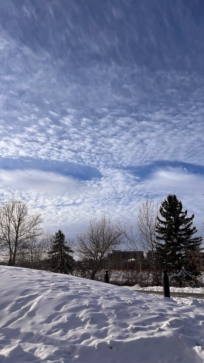 blabbit000's tweet image. 😍