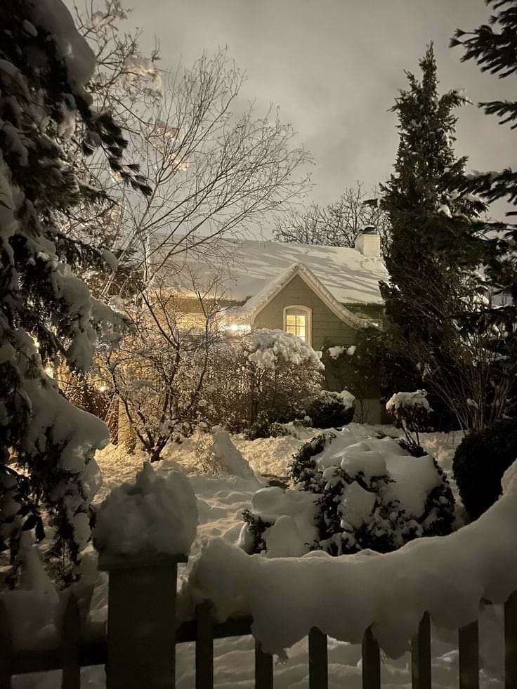 silent winter night.