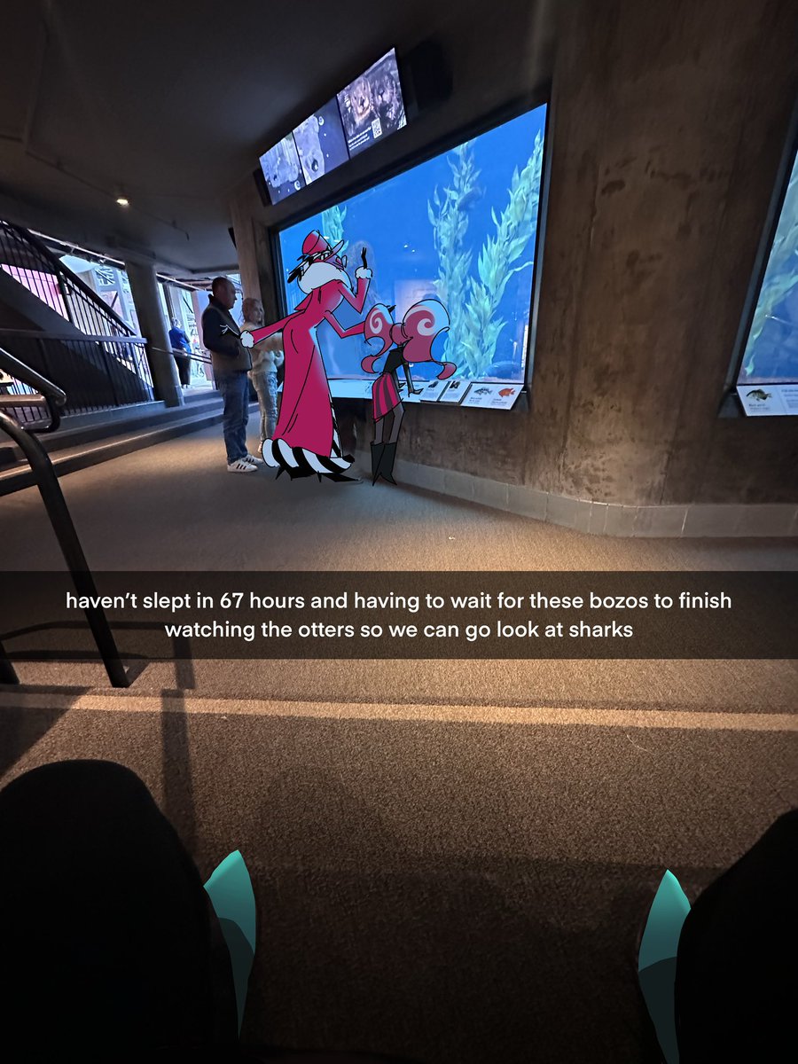 parad0x_art's tweet image. real story i haven’t slept in like 50 or so hours. napped during the otter feeding lmao