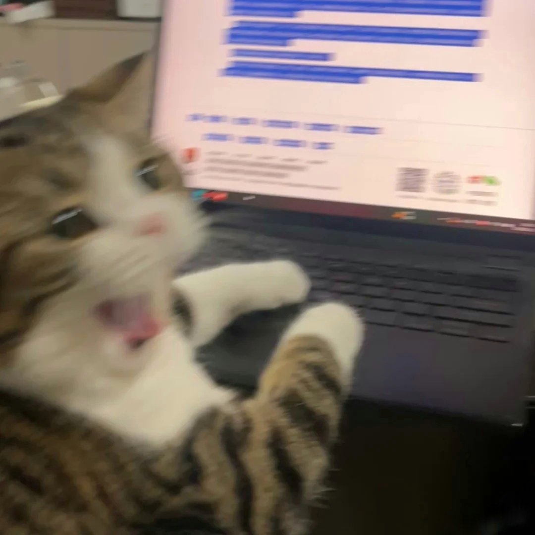 TheCatsX's tweet image. AAAAAAAAAAAAAA
