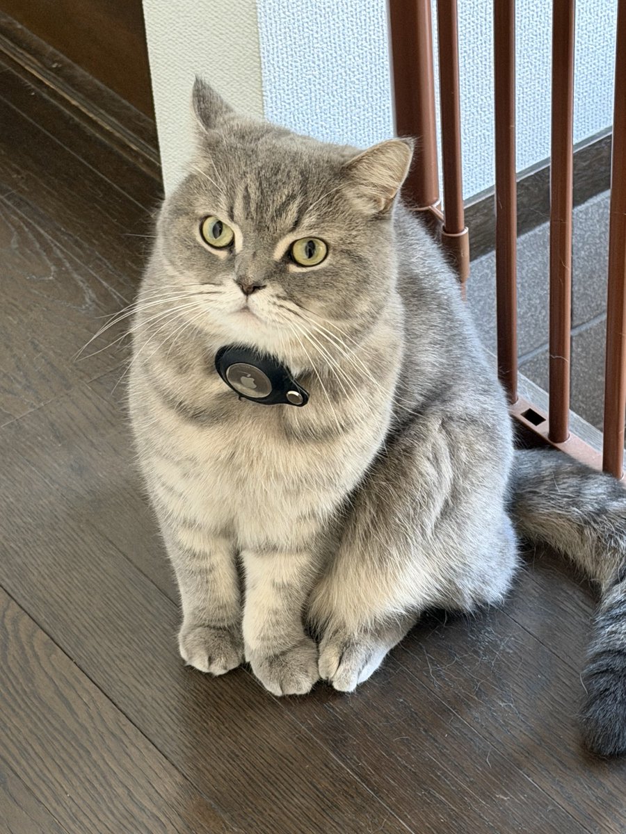 いわし先生 (@IWASHI_0723) / Posts / X