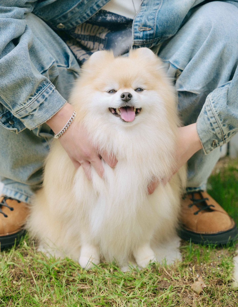 募集】ワンちゃんの写真を大募集します！🐕📸月刊わんこvol.26（1月15