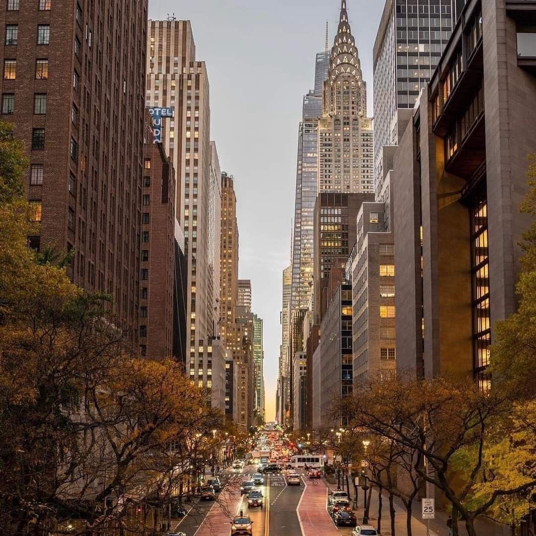 ogschwan's tweet image. ⠀⠀⠀
⠀ ⠀⠀ ⠀‧˚❀༉‧  𝘐𝘵 𝘸𝘢𝘴 𝘰𝘯 𝘢 𝘥𝘳𝘦𝘢𝘮𝘺
⠀ ⠀ ⠀ ⠀⠀ ⠀ ⠀𝘯𝘪𝘨𝘩𝘵 𝘰𝘧 𝘯𝘰𝘷𝘦𝘮𝘣𝘦𝘳.

⠀ ⠀⠀⠀ ⠀⠀⠀ ⠀ #visualNS ⠀ ⠀⠀⟡⠀