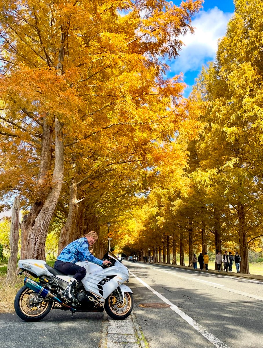 みっちゃんZX-14R (@ym025) / Posts / X