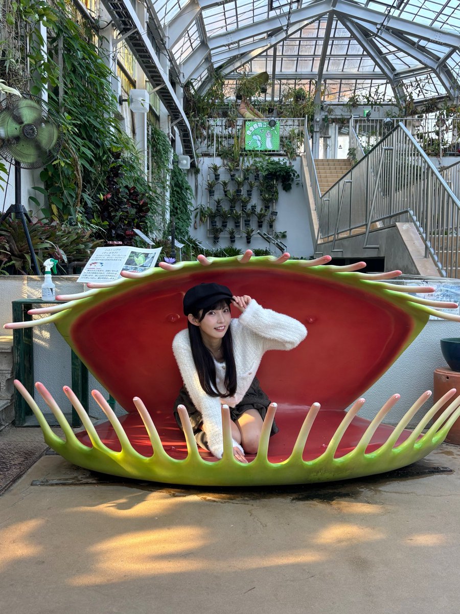 Post by 尾崎 世里花 on X: 12月🎄