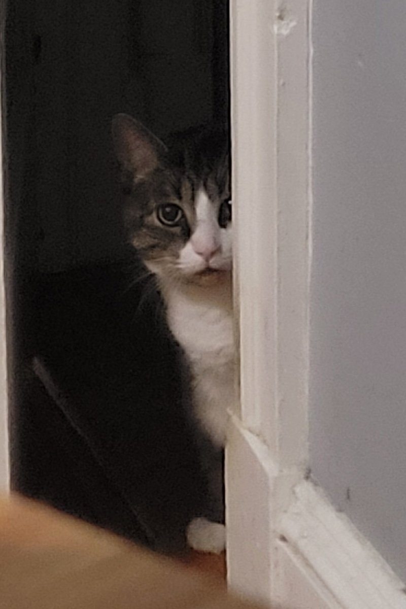 I know what you did...