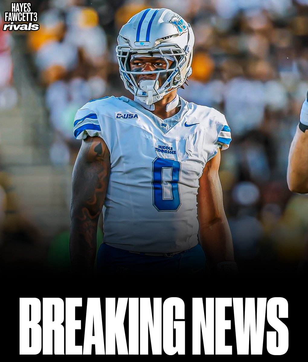 Hayes Fawcett tweet media