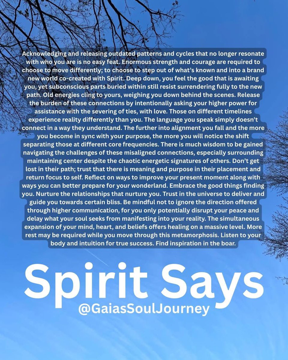 microdose_vibes's tweet image. 