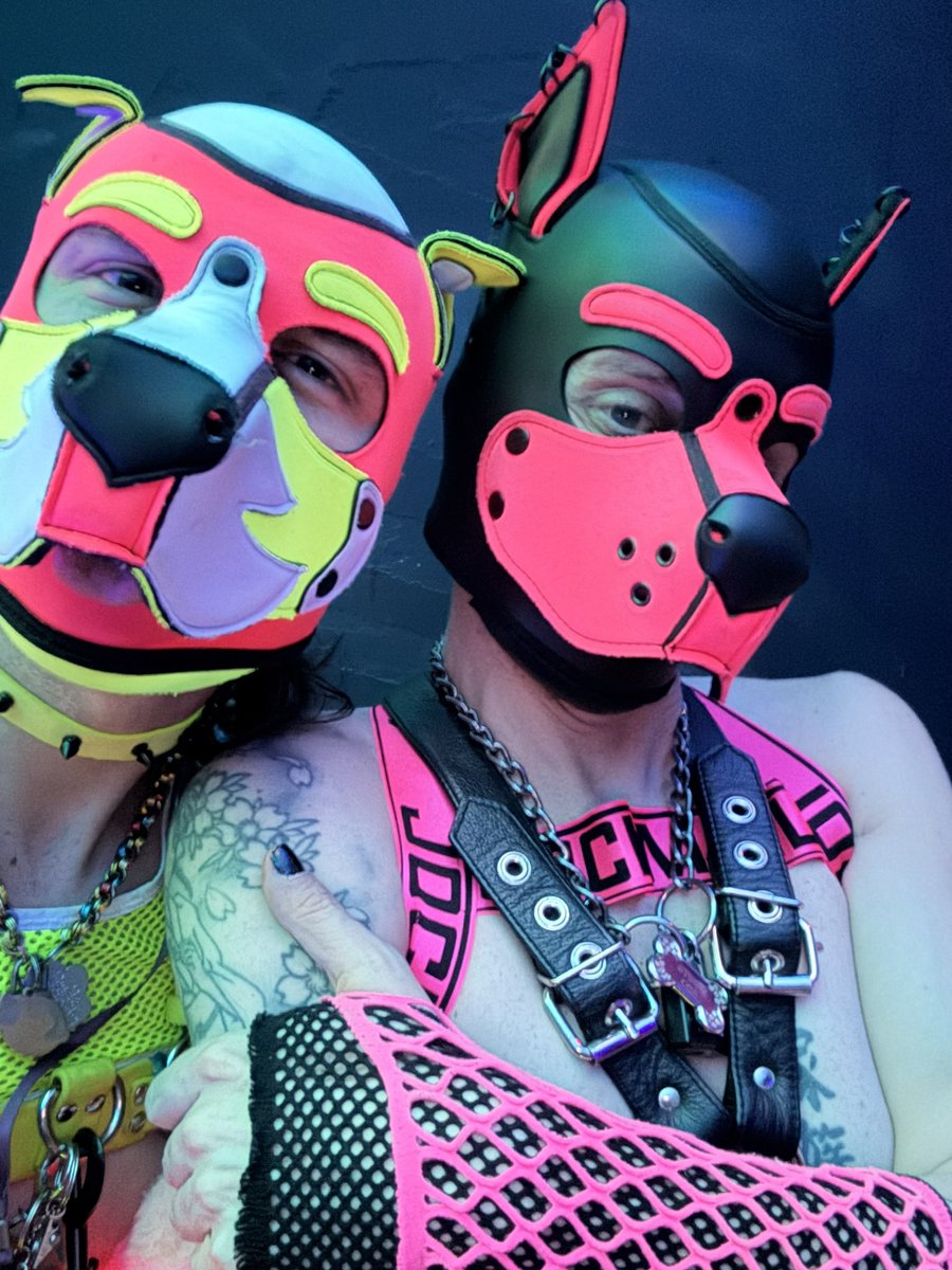 pup_lemonade tweet media