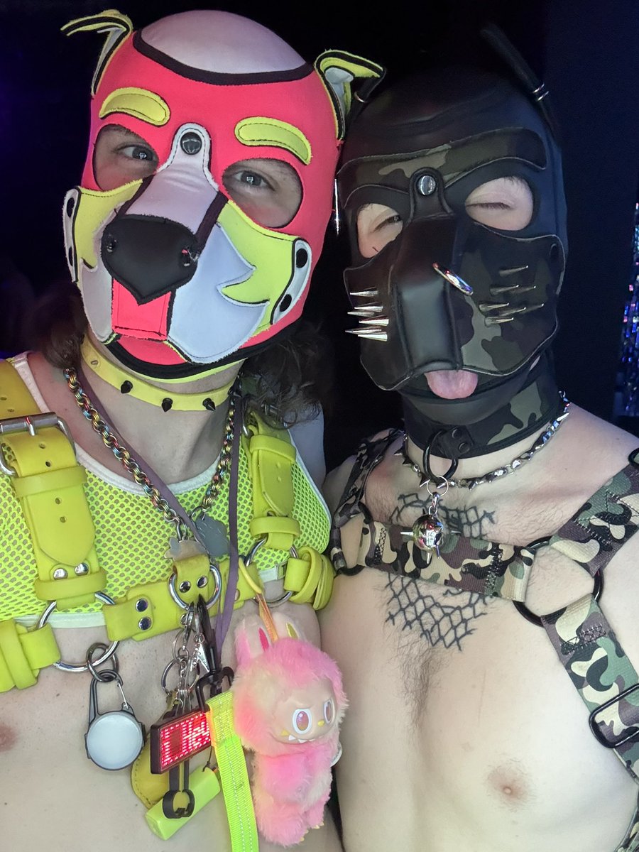 pup_lemonade tweet media