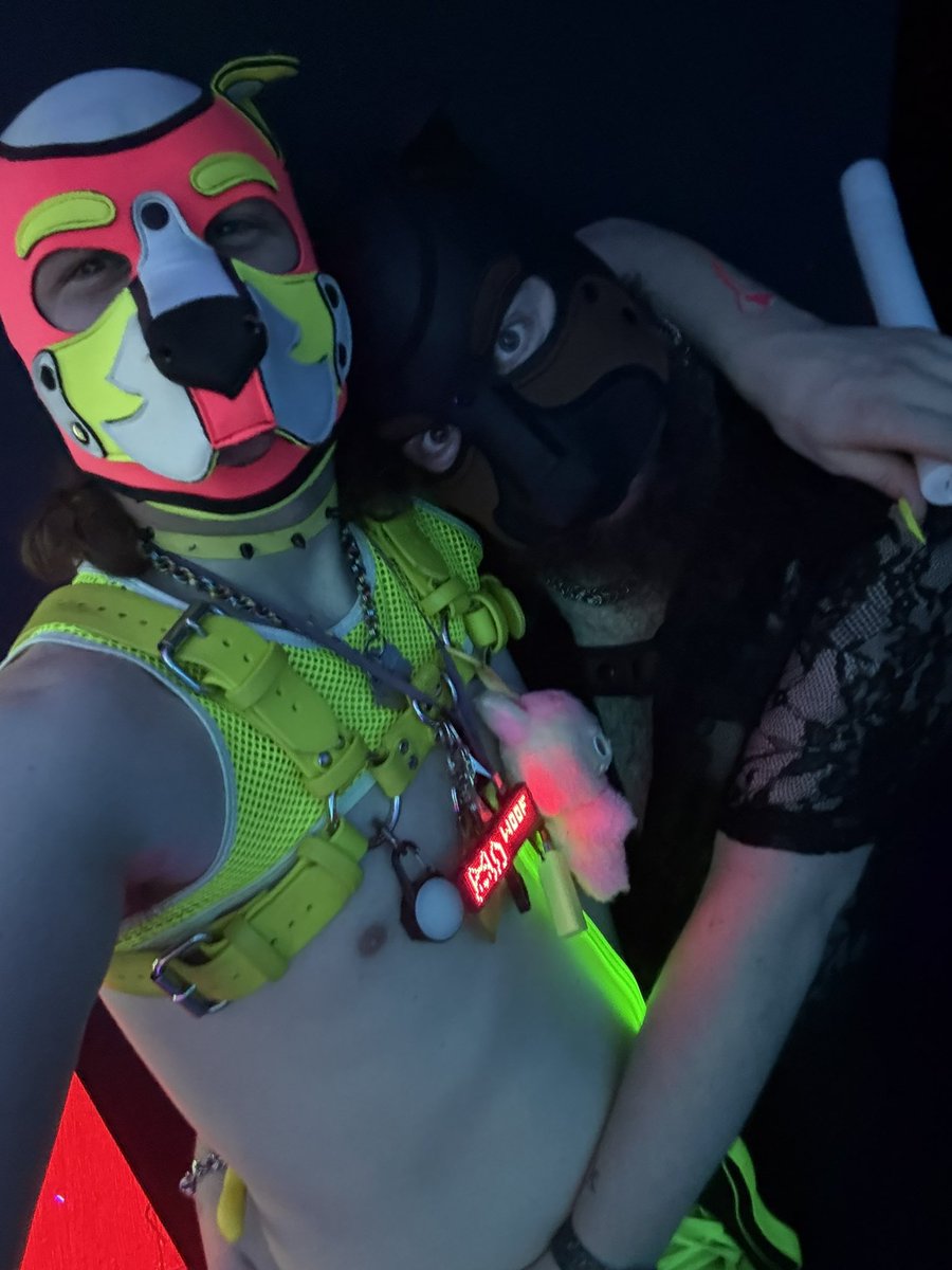 pup_lemonade tweet media