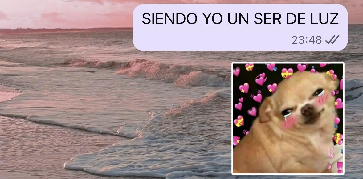 <a href="/jazzbxe/">𝒋𝒂𝒛𝒛 ︎︎𝒍𝒗𝒔 𝒔𝒕𝒆𝒍𝒍𝒂. 🍉</a> excepto si se trata de norris