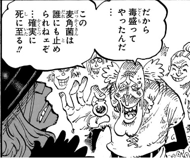 ワンピース、麦角菌って手足が腐れ落ちるタイプと死に至るタイプがあるって見た記憶あるが、どちらも北欧っぽいエルバフには無さそうなんなので入出荷色がきになるな。