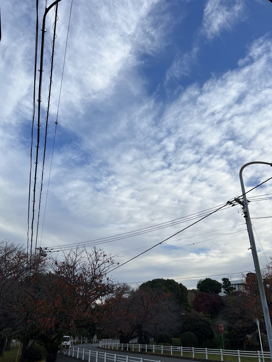 おはミライ～(^^♪☀️
横浜市金沢区は晴れ！☀️
今年もいよいよ１２月！最高の天気で今週もスタートです！🔥

今日は今年習慣化したエピソードを1つシェアします。💡

それは、、
”朝ごはんをしっかり食べる”です！👍
アジ🐟の干物、お味噌汁、目玉焼き🍳炊き立てのご飯🍚と納豆、、