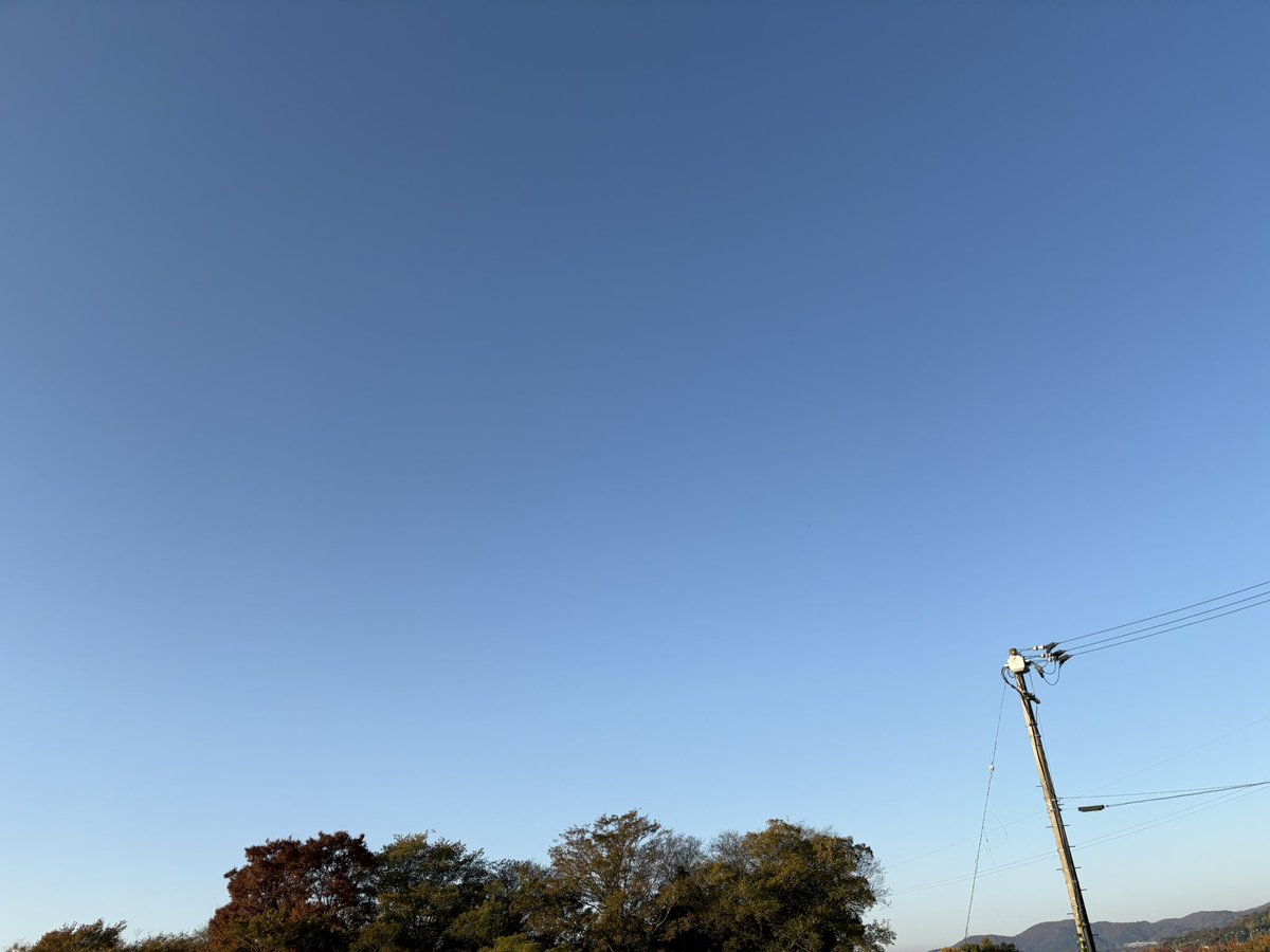 roadmade2020's tweet image. おはようございます！
今日は晴れ☀️
週明けはいい天気ですね
サイクリング行けますね🚴‍♂️
今週も楽しんでいきましょう！

#サイクリング
#自転車
#ロードバイク
#TREK
#今日の空
#徳島
#ありがとう