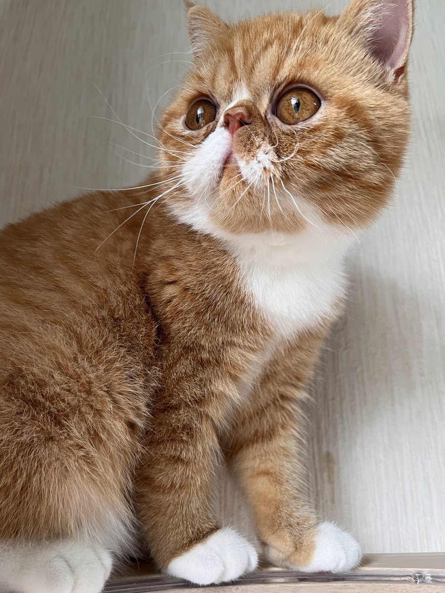 おはようございます