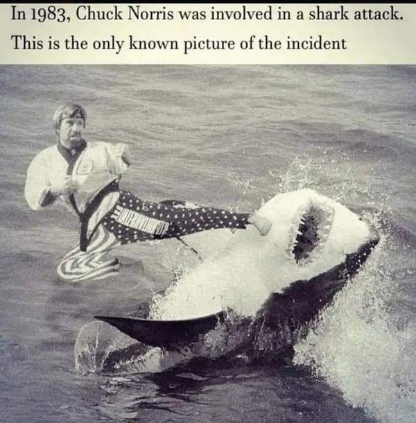 DyerbolicalDB's tweet image. Drop the best Chuck Norris Jokes

I&apos;ll Start: