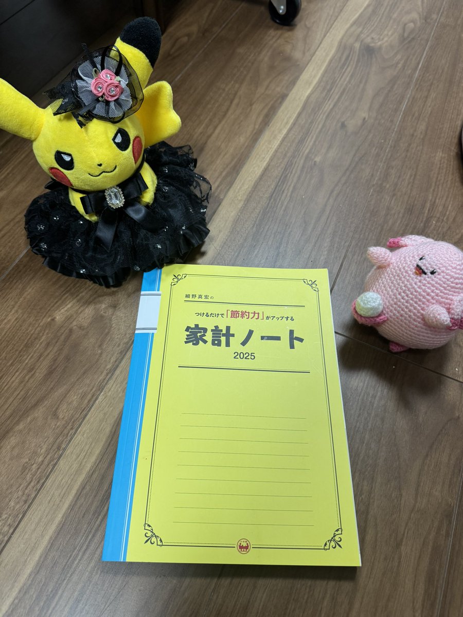 12月❣️ 満を持して、家計簿を始めるピカ⚡️ 来年から本番で、今月は