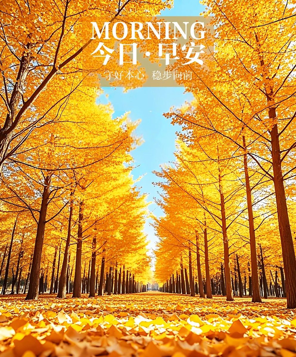 PIJSwap_ar's tweet image. 别想，去做！
想，都是问题；
做，才有答案。
行动力是打破焦虑的钥匙，
把正确的事情重复做，把重复的事情用心做，把用心的事情坚持做，生活有一天自会给你答案。
#PiJSchain #PiJS #PiNetwork #BTC #BNB #ETH