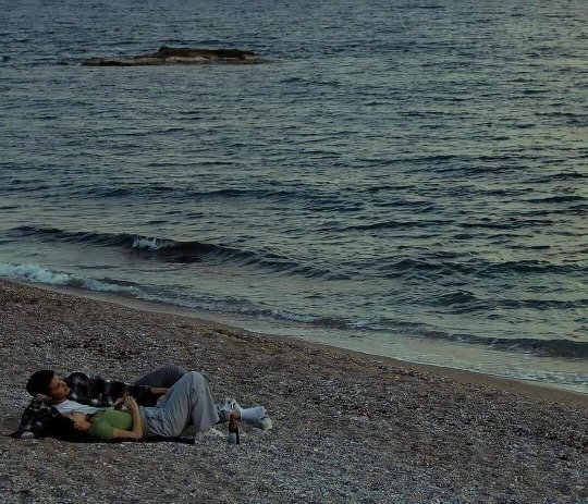 poeticalphotos's tweet image. 