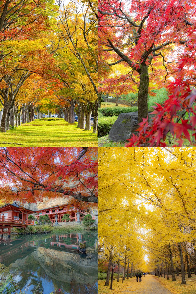 ありさ (@yCfE4B7geHhXyoO) / Posts / X