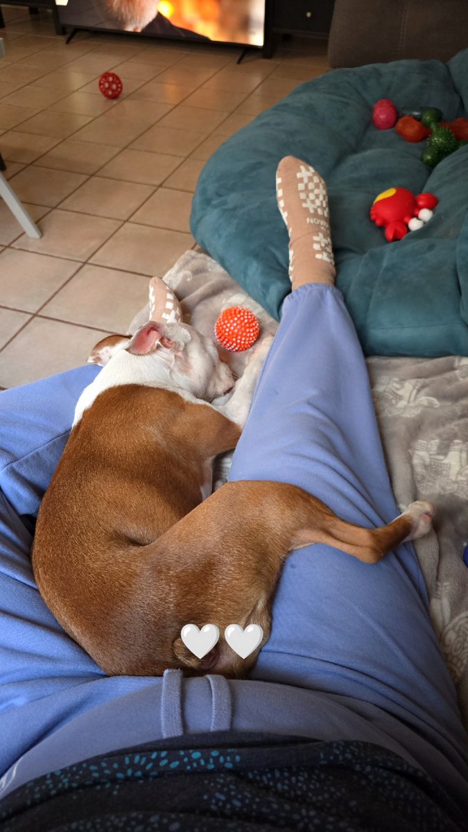 nutshell_noir's tweet image. Me and the pup 🐶 #desertliving