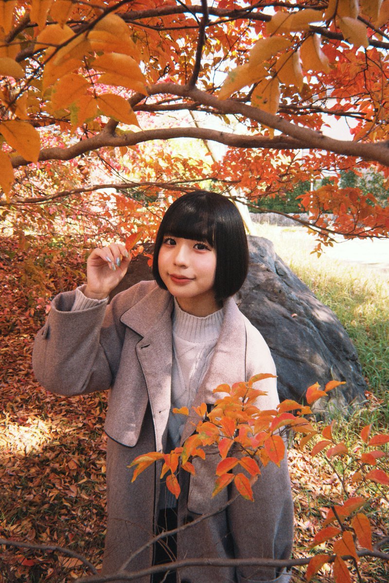 御堂莉くるみ(きのホ。) tweet media