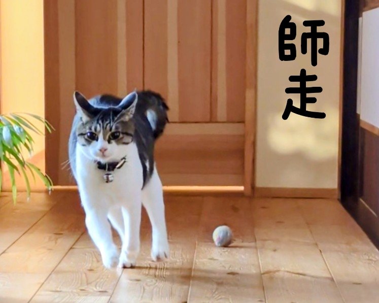 Loco (@x_howz) / Posts / X