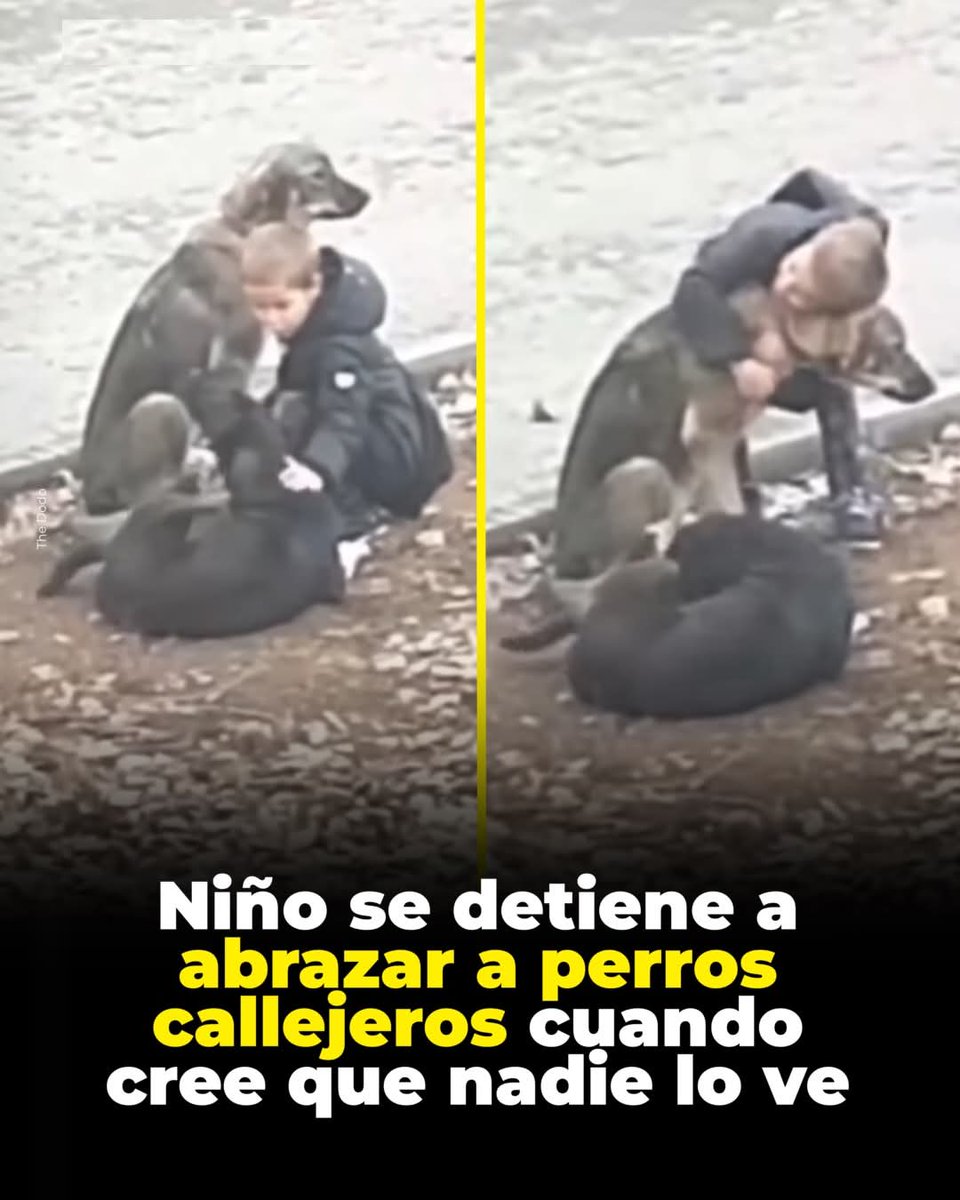 Un niño se hizo viral cuando fue grabado haciendo un acto de bondad desinteresado. Creyendo que estaba solo, Ibrahim se detuvo de camino a la escuela para dar un dulce abrazo a un par de perros callejeros que se calentaban al sol. Un residente capturó el momento
