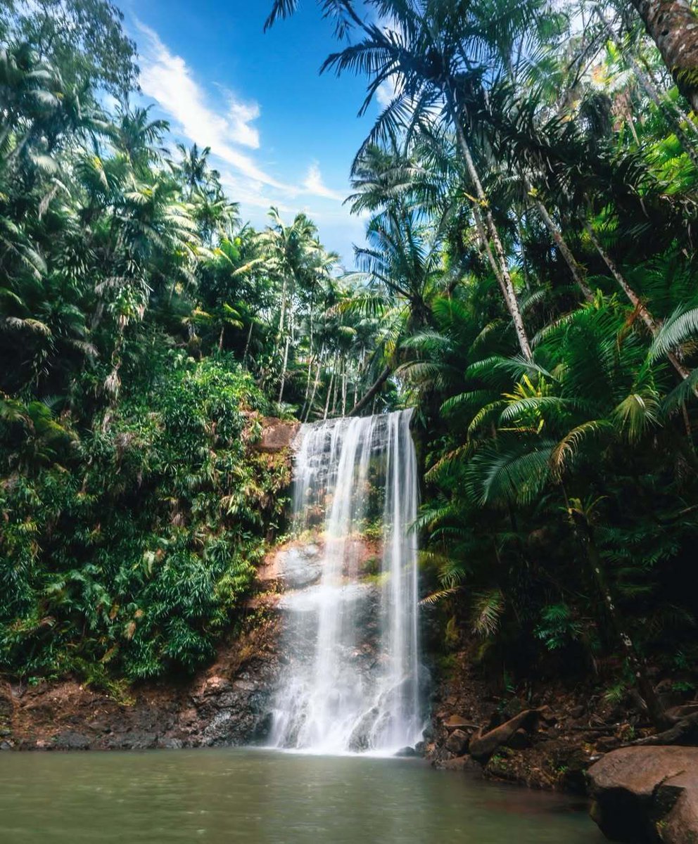 TheGuamGuide's tweet image. A wise poet once said, &quot;Don&apos;t go chasing Waterfalls&quot; but we say &quot;Yes! You should!&quot;

Here&apos;s a shot of San Carlos Falls by @guamescape 😍 

Got a capture from your own perspective? Share it with us! 

TAG us at @theguamguide

#chasingwaterfalls #waterfalls #guam #guamguide