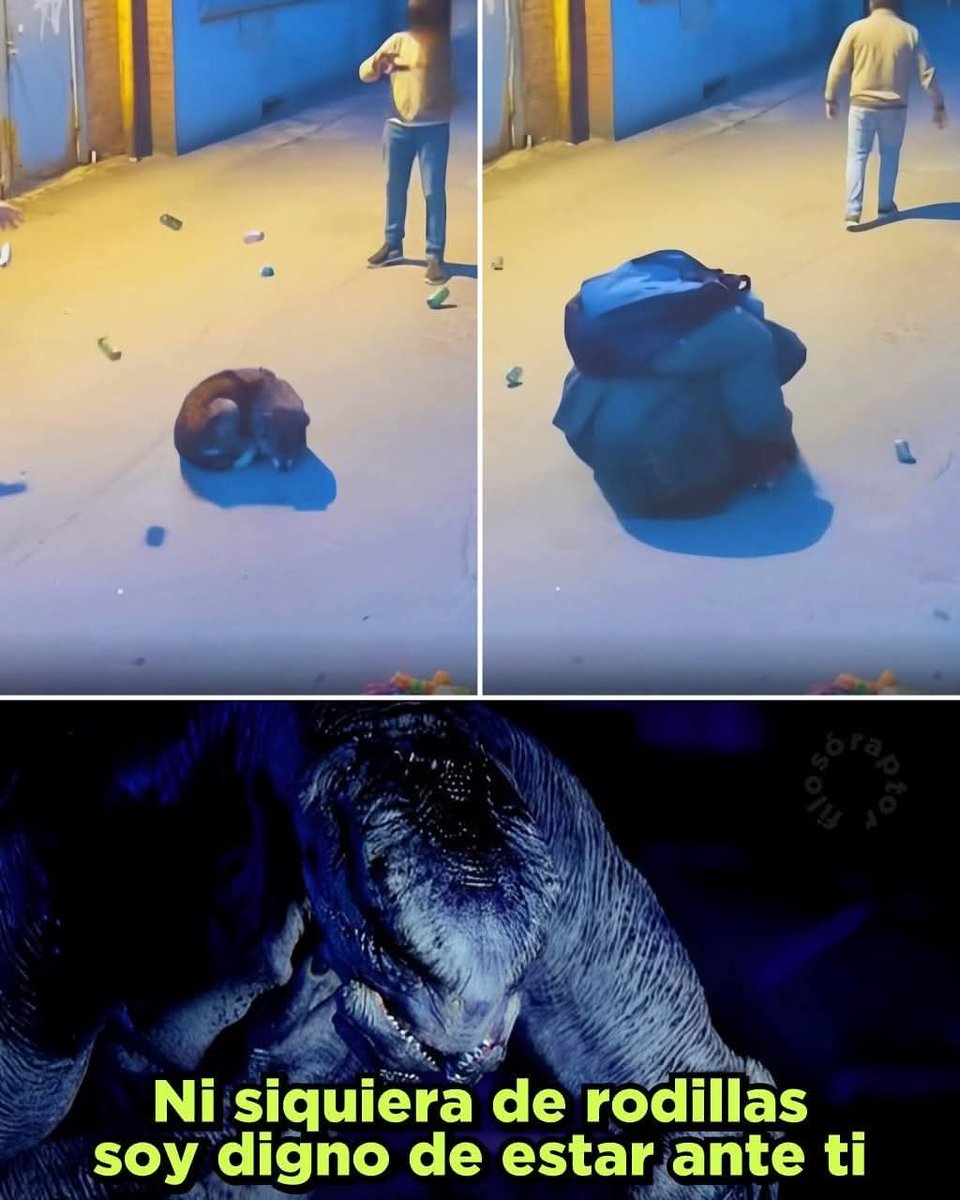 Un hombre en situación de calle decidió defender a un perrito abandonado
Las cámaras de una pizzería captaron el momento en que varios jóvenes molestaban al animal, y el señor, sin dudarlo, corrió a cubrirlo. Se arrodilló frente al perrito y lo cubrió