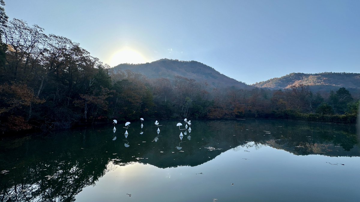 Susumu_Shingu's tweet photo. 20251201_8:35
「光のさざ波」
1993年 新宮 晋
（定点撮影552回） https://t.co/Uc4owXCbV2