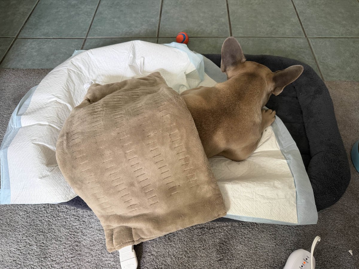 BladeRunnerKing tweet media