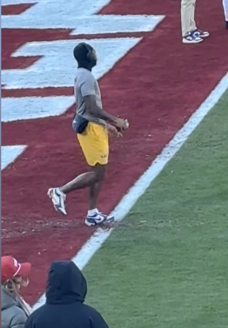 bakul21077's tweet photo. What's going on here?  You are famous for all wrong reasons! Damaging field before OU vs LSU game! Wow!

https://t.co/U4X0axu9Ew 

@MrRichards0 , @LSUTigersSI , @LSUsports https://t.co/ndlyf3aDN1