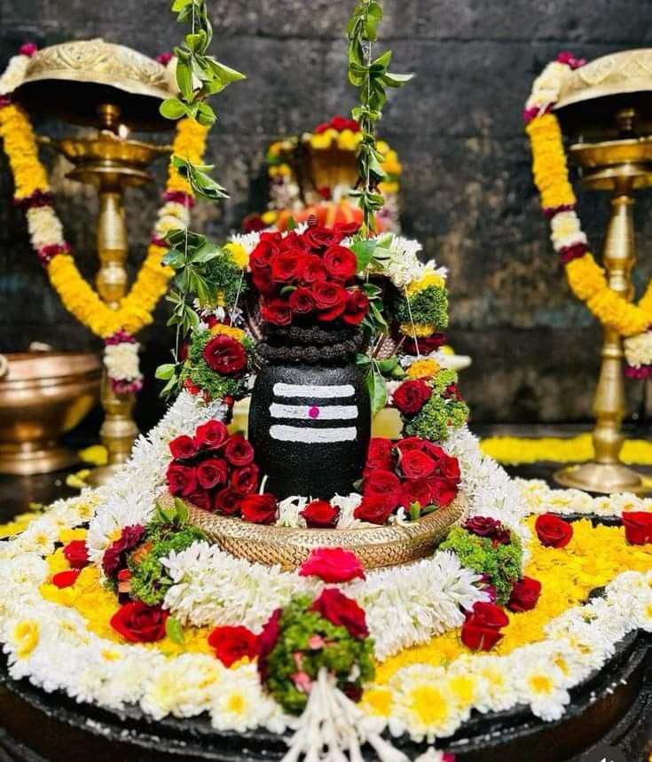 ऊं नमः  शिवाय ☘️🌺🚩
हर हर महादेव 🪔🌸🙏

शुभ प्रभात नमन 🌹🙏
आपका दिन मंगलमय हो ❤️