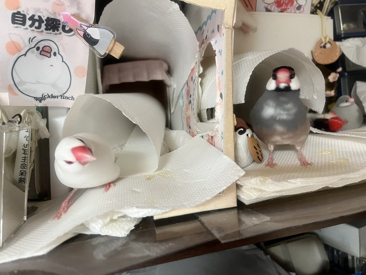 ぽんきち。 (@jponkichi) / Posts / X