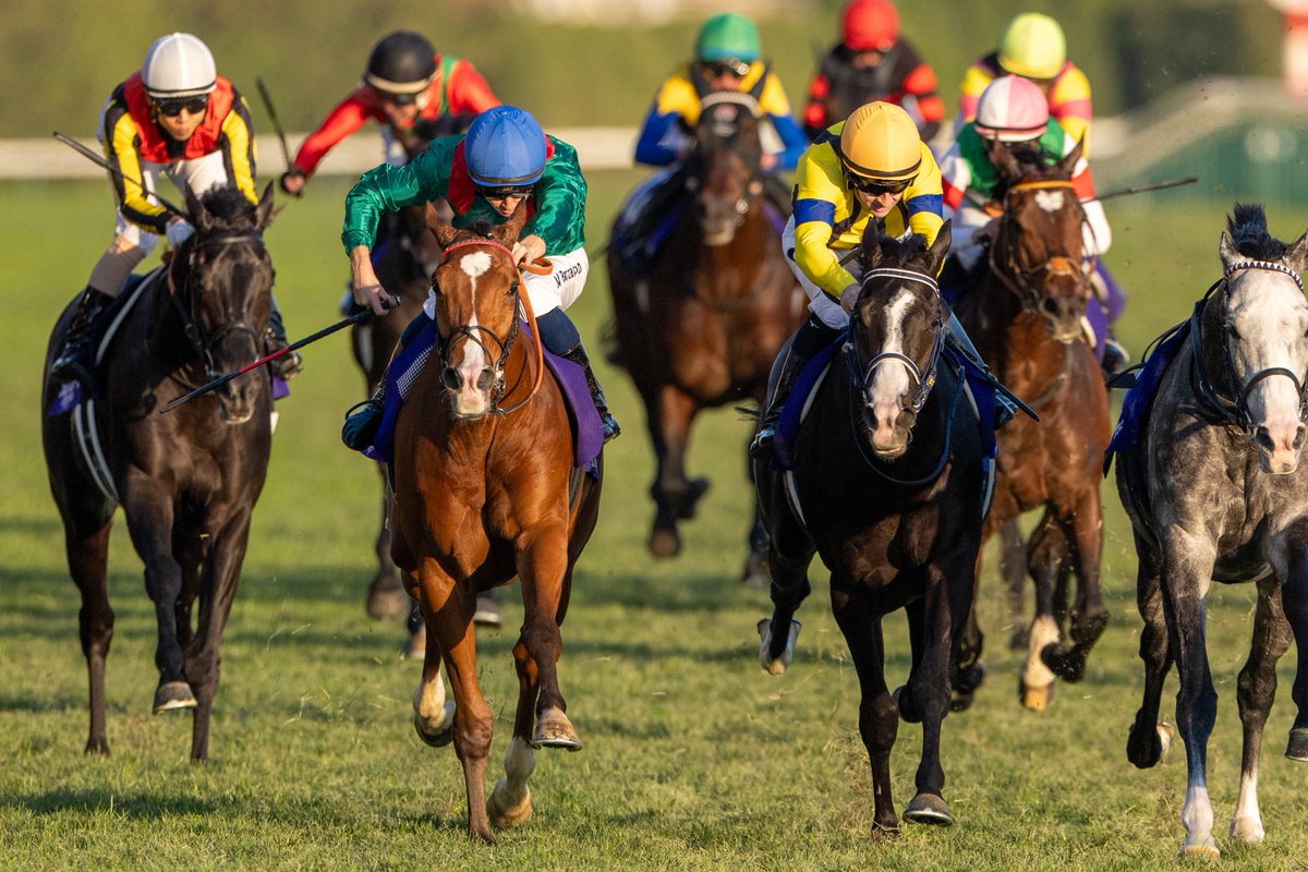 ジャパンカップ