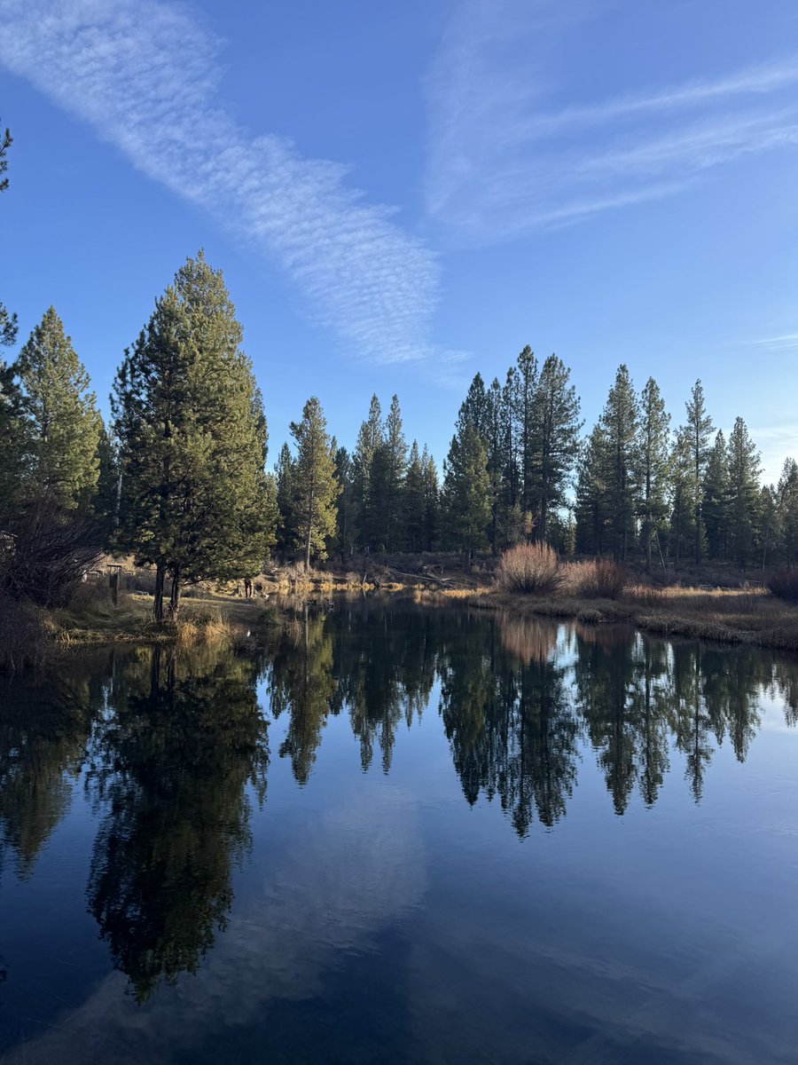 cascade 🏔️ tweet media