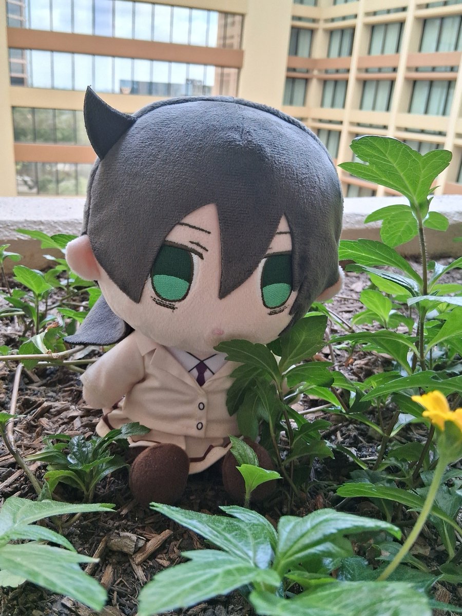hawkco13's tweet photo. Few photos taken while on vacation in October. Tomoko made a new friend.

#watamote #tomokokuroki #tomokoplush https://t.co/bFYsvRcHSe