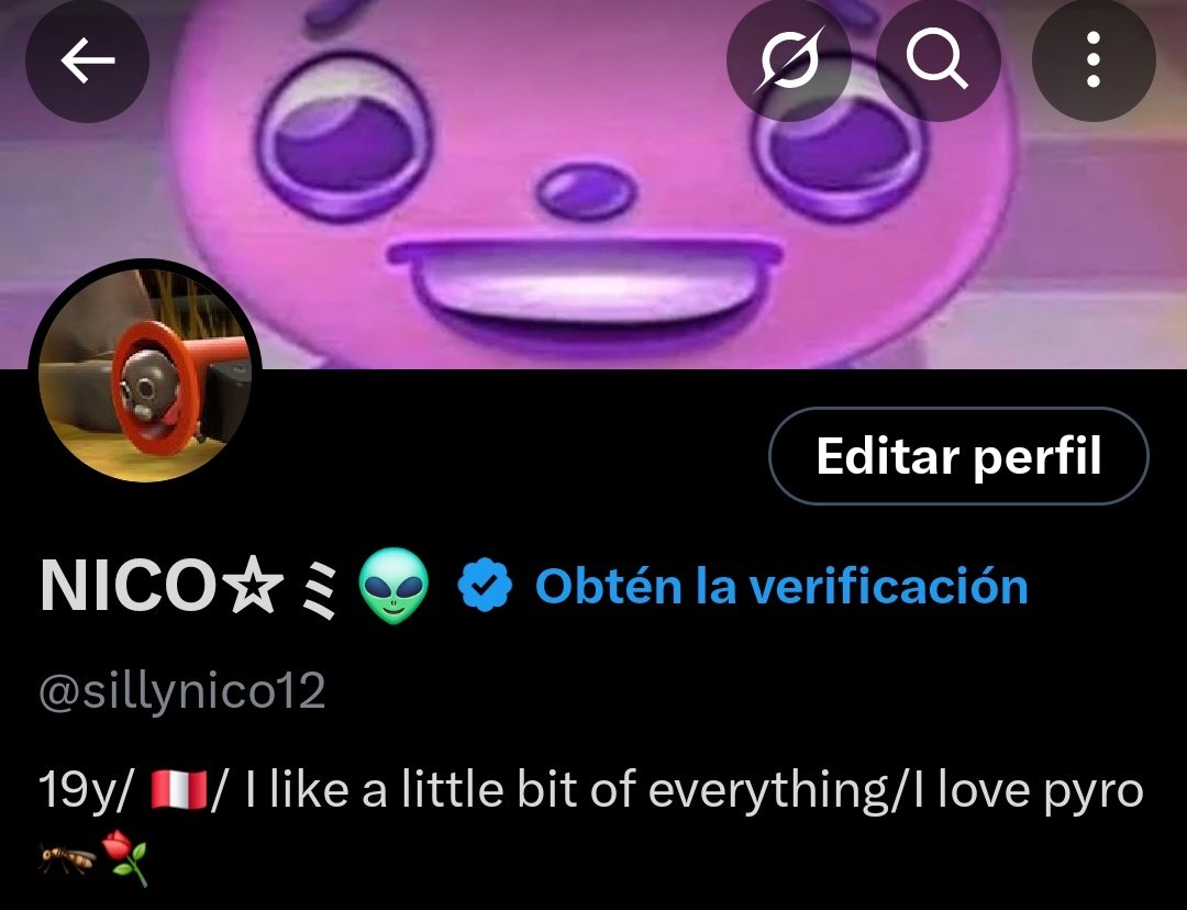 ☆ミNICO💚💜 (@nicol12solo) / Posts / X