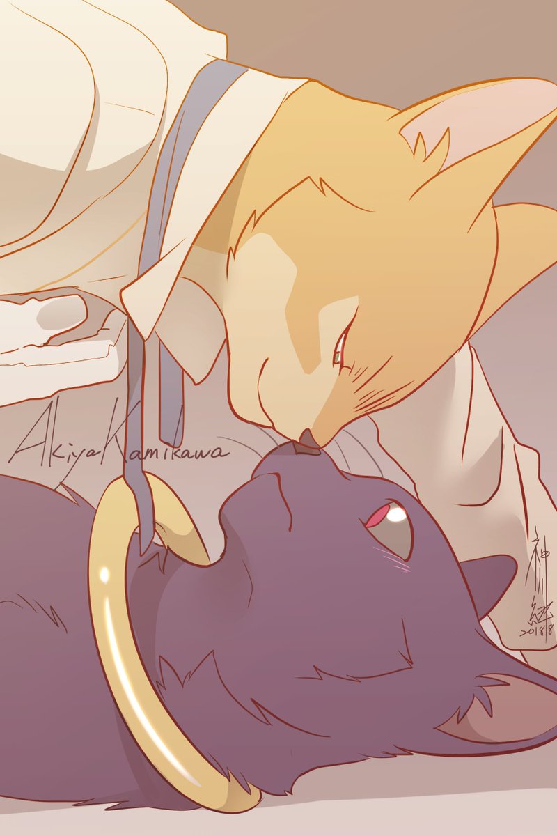 #TheCatReturns #猫の恩返し
😘